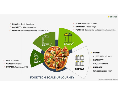 How Brevel Implements First-Of-A-Kind (FOAK) Model for Its Microalgae Protein 