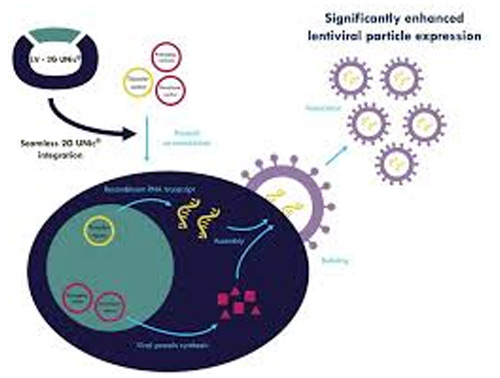 ProteoNic unveils Early Access Program, boosting viral vector titers with LV-2G UNic® technology